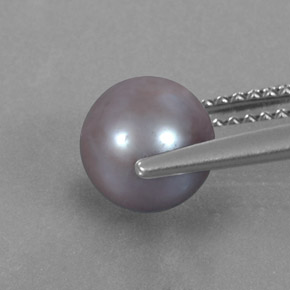 Pearl Gemstone in 7.1 mm Size for Sale, Pearl Stone in Lavender Color