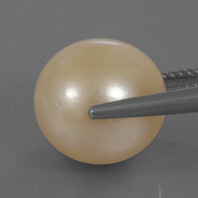 Pearl Gemstone in 12.7 mm Size for Sale, Pearl Stone in Golden Color