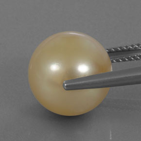 Pearl Gemstone in 11.8 mm Size for Sale, Pearl Stone in Golden Color