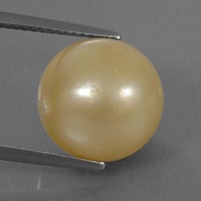 Perla Sferico da 13,25 ct dal mare del sud, dimensione 12,3mm, purezza Opaque, pietra preziosa naturale Coltivato d'acqua salata, Perla 1pc in colore Dorato, durezza Mohs di 2,5 - 4,5, Photo A