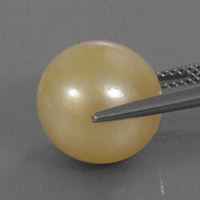 Pearl Gemstone in 12.3 mm Size for Sale, Pearl Stone in Golden Color