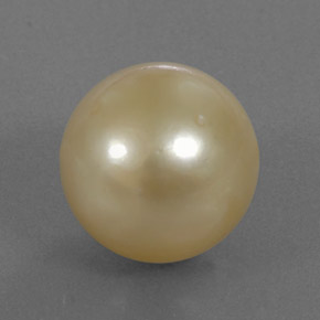 13.12 ct Yellow Pearl Gemstone, Pearl Gem in Spherical Shape for Sale.
