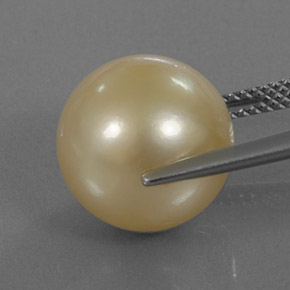 Pearl Gemstone in 12.3 mm Size for Sale, Pearl Stone in Golden Color