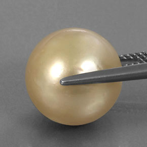 Pearl Gemstone in 12.8 mm Size for Sale, Pearl Stone in Golden Color