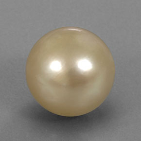 13.24 ct Yellow Pearl Stone, Natural Pearl in Spherical Shape for Sale