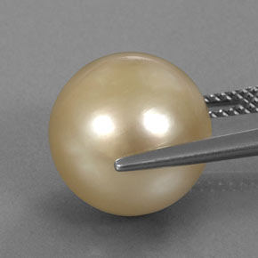 Pearl Gemstone in 12.3 mm Size for Sale, Pearl Stone in Golden Color