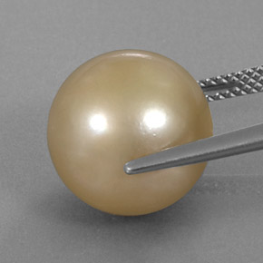Pearl Gemstone in 12.6 mm Size for Sale, Pearl Stone in Golden Color