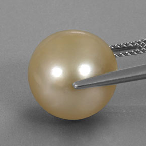 Pearl Gemstone in 12.1 mm Size for Sale, Pearl Stone in Golden Color