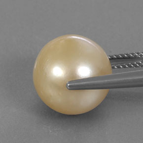 Pearl Gemstone in 12.1 mm Size for Sale, Pearl Stone in Golden Color