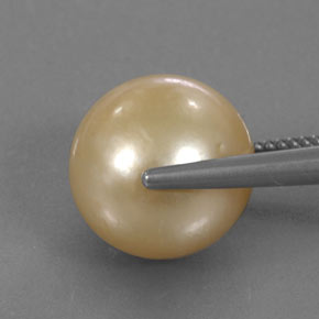 Pearl Gemstone in 12.8 mm Size for Sale, Pearl Stone in Golden Color