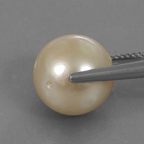 Pearl Gemstone in 12.3 mm Size for Sale, Pearl Stone in Light Golden Color