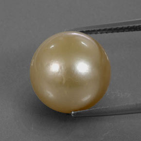 14.4ct Spherical Golden Pearl for sale thumb image of 14.4ct Spherical Golden Pearl (ID: 335793)