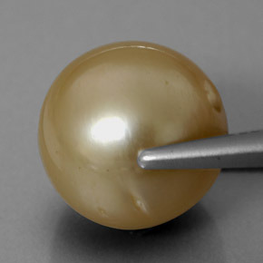 Pearl Gemstone in 12.4 mm Size for Sale, Pearl Stone in Golden Color