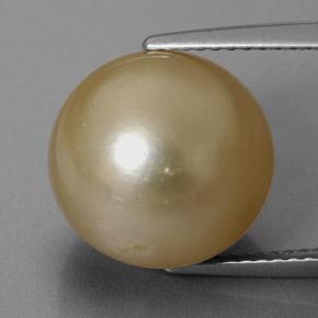 12,3mm Perla dorato Sferico dal mare del sud, peso di 13,02 ct, pietra preziosa naturale Coltivato d'acqua salata in purezza Opaque, Perla 1pz - il colore è Dorato, durezza Mohs di 2,5 - 4,5, Photo A