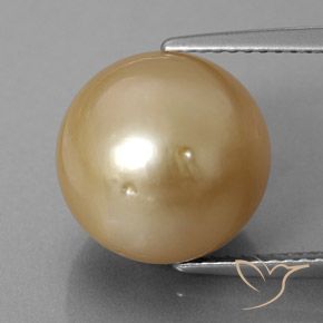 Perla Sferico da 12,6 ct dal mare del sud, dimensione 12mm, purezza Opaque, pietra preziosa naturale Coltivato d'acqua salata, Perla 1pc in colore Dorato, durezza Mohs di 2,5 - 4,5, Photo A