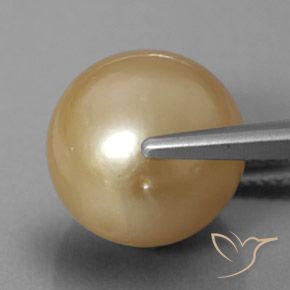 Pearl Gemstone in 12 mm (calibrated) Size for Sale, Pearl Stone in Golden Color