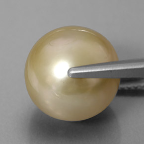 Pearl Gemstone in 11.9 mm Size for Sale, Pearl Stone in Golden Color