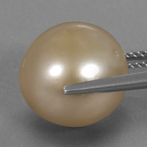 Pearl Gemstone in 12.2 mm Size for Sale, Pearl Stone in Golden Color