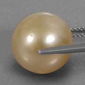 Pearl Gemstone in 12.3 mm Size for Sale, Pearl Stone in Golden Color
