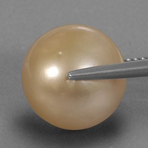 Pearl Gemstone in 12.1 mm Size for Sale, Pearl Stone in Golden Color