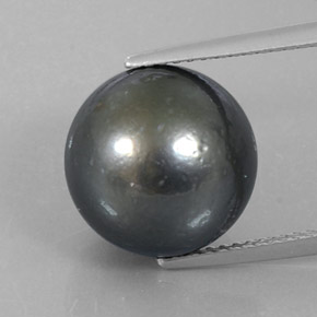 Perla Sferico da 13,16 ct dal mare del sud, dimensione 12,2mm, purezza Opaque, pietra preziosa naturale Coltivato d'acqua salata, Perla 1pc in colore Argento scuro, durezza Mohs di 2,5 - 4,5, Photo A