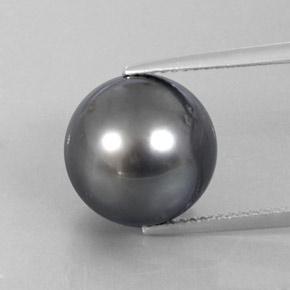 Grey Жемчуг Камень - 13.1ct Сферический (ID: 338172)