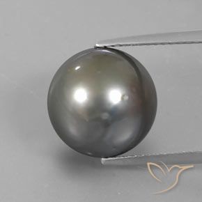 Perla 12,3mm grigio Sferico dal mare del sud, peso di 13,34 ct, gemma naturale Coltivato d'acqua salata in purezza Opaque, 1 pezzo Perla - Colore: Argento, durezza Mohs di 2,5 - 4,5, Photo A