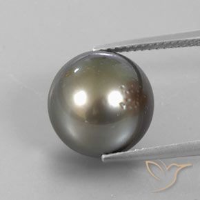 13,25ct Sferico grigio Perla dal mare del sud, Dimension 12,3mm, Natural Coltivato d'acqua salata Gemstone, Opaque Clarity, 1 piece Perla in Grigio medio-scuro Color, Mohs Hardness of 2,5 - 4,5, Photo A