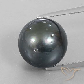 12,39ct Sferico grigio Perla dal mare del sud, Dimension 12mm, Natural Coltivato d'acqua salata Gemstone, Opaque Clarity, 1 piece Perla in Argento scuro Color, Mohs Hardness of 2,5 - 4,5, Photo A