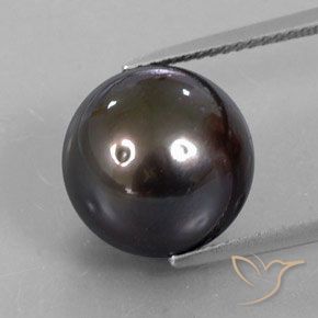 Perla 12,3mm marrone Sferico dal mare del sud, peso di 13,3 ct, gemma naturale Coltivato d'acqua salata in purezza Opaque, 1 pezzo Perla - Colore: Marrone, durezza Mohs di 2,5 - 4,5, Photo A