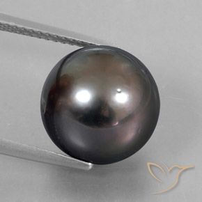 Perla Sferico da 12,76 ct dal mare del sud, dimensione 12,2mm, purezza Opaque, pietra preziosa naturale Coltivato d'acqua salata, Perla 1pc in colore Marrone, durezza Mohs di 2,5 - 4,5, Photo A