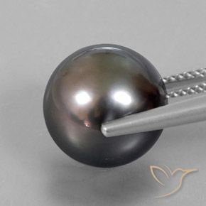 Pearl Gemstone in 12 mm (calibrated) Size for Sale, Pearl Stone in Brown Color