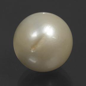 9.8ct Spherical Cream Pearl Gem for sale 9.8ct Spherical Cream Pearl Gem (ID: 501913)