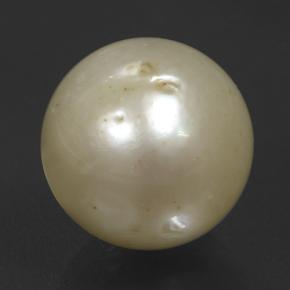 11.08 ct Golden Pearl Gemstone, Pearl Gem in Spherical Shape for Sale.