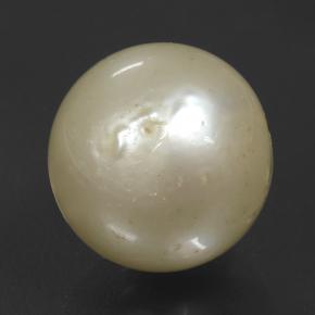 11.08 ct Golden Pearl Stone, Natural Pearl in Spherical Shape for Sale