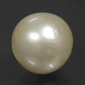 Pearl Gemstone in 11.6 mm Size for Sale, Pearl Stone in Light Golden Color