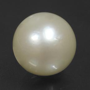 11.4ct Spherical Cream Pearl Gem for sale 11.4ct Spherical Cream Pearl Gem (ID: 501923)