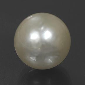 10.5ct Spherical Cream Pearl Gem for sale 10.5ct Spherical Cream Pearl Gem (ID: 501927)