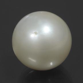 11ct Spherical Cream Pearl Gem for sale 11ct Spherical Cream Pearl Gem (ID: 502101)