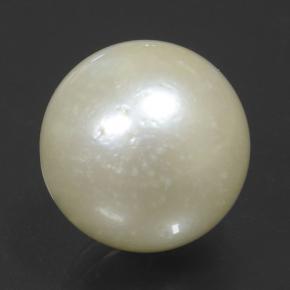 11.5ct Spherical Cream Pearl Gem for sale 11.5ct Spherical Cream Pearl Gem (ID: 502108)
