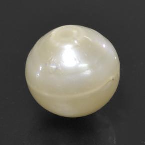 10.7ct Spherical Cream Pearl Gem for sale 10.7ct Spherical Cream Pearl Gem (ID: 503131)