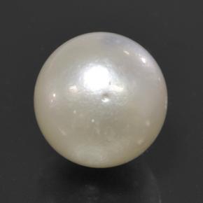 Pearl Gemstone in 11.6 mm Size for Sale, Pearl Stone in Off White Color