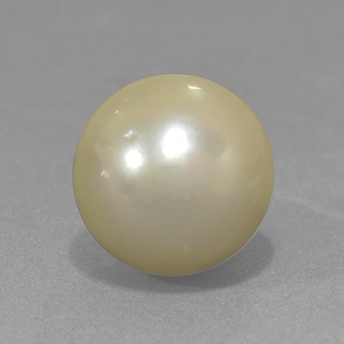 11.42 ct Yellow Pearl Stone, Natural Pearl in Spherical Shape for Sale