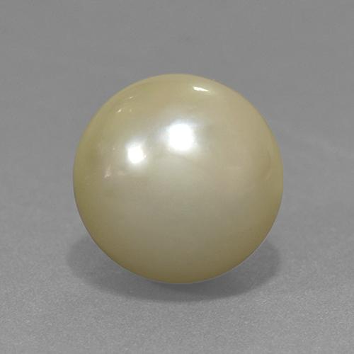 Pearl Gemstone in 11.7 mm Size for Sale, Pearl Stone in Light Yellow Color