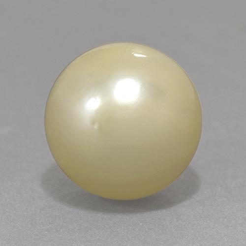 13.06 ct Golden Pearl Stone, Natural Pearl in Spherical Shape for Sale