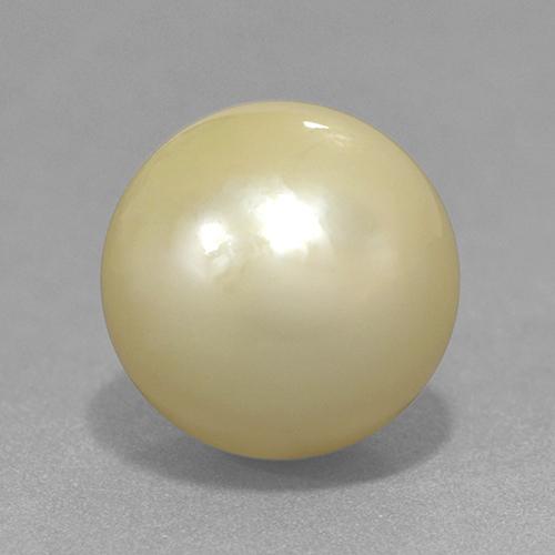 Pearl Gemstone in 12.2 mm Size for Sale, Pearl Stone in Light Yellow Color