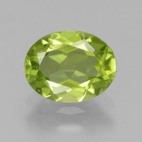 Medium Green Peridot Gem - 1.4ct Oval Facet (ID: 461726)