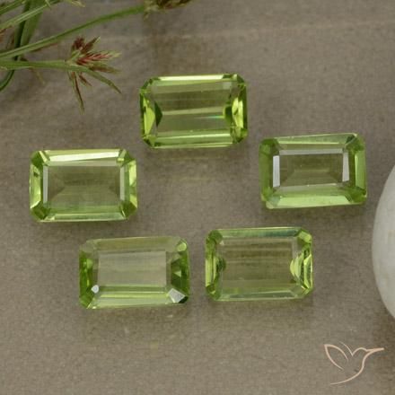 5 Stück octagonschliff grüner Peridot Set aus China - Gewicht 2,66 ct total / Durchschn. je 0,53 ct, Größe 6,1 x 4mm, Farbe: Leichtes lebendiges Grün, Mohs-Härte 6,5 - 7 Geeignet für den täglichen Gebrauch im Schmuck, Photo A