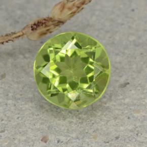 Verde vivo claro Peridoto Gema - 1.3ct Faceta Redonda (ID: 480963)
