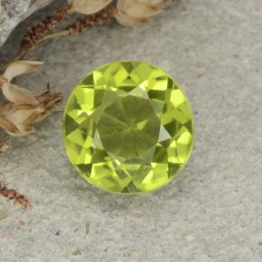 gelblich-grün Peridot Edelstein - 1.2ct Rund Facettenschliff (ID: 480970)